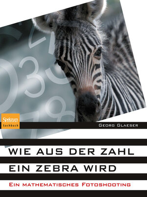 cover image of Wie aus der Zahl ein Zebra wird